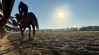 Venezolanos en el exterior arrasan con un póker de triunfos en este hipódromo