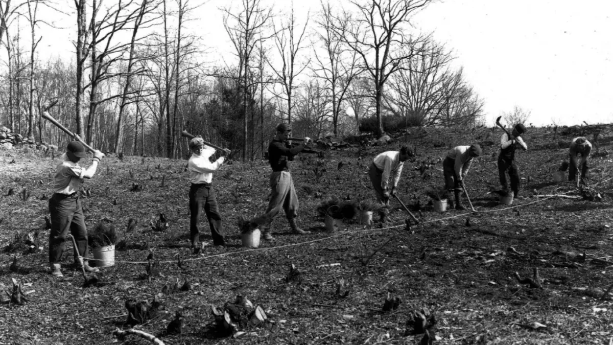 In 1943, Franklin Delano Roosevelt gave Springwood and 33 acres to US; estate had 1,500 acres and 500,000 trees