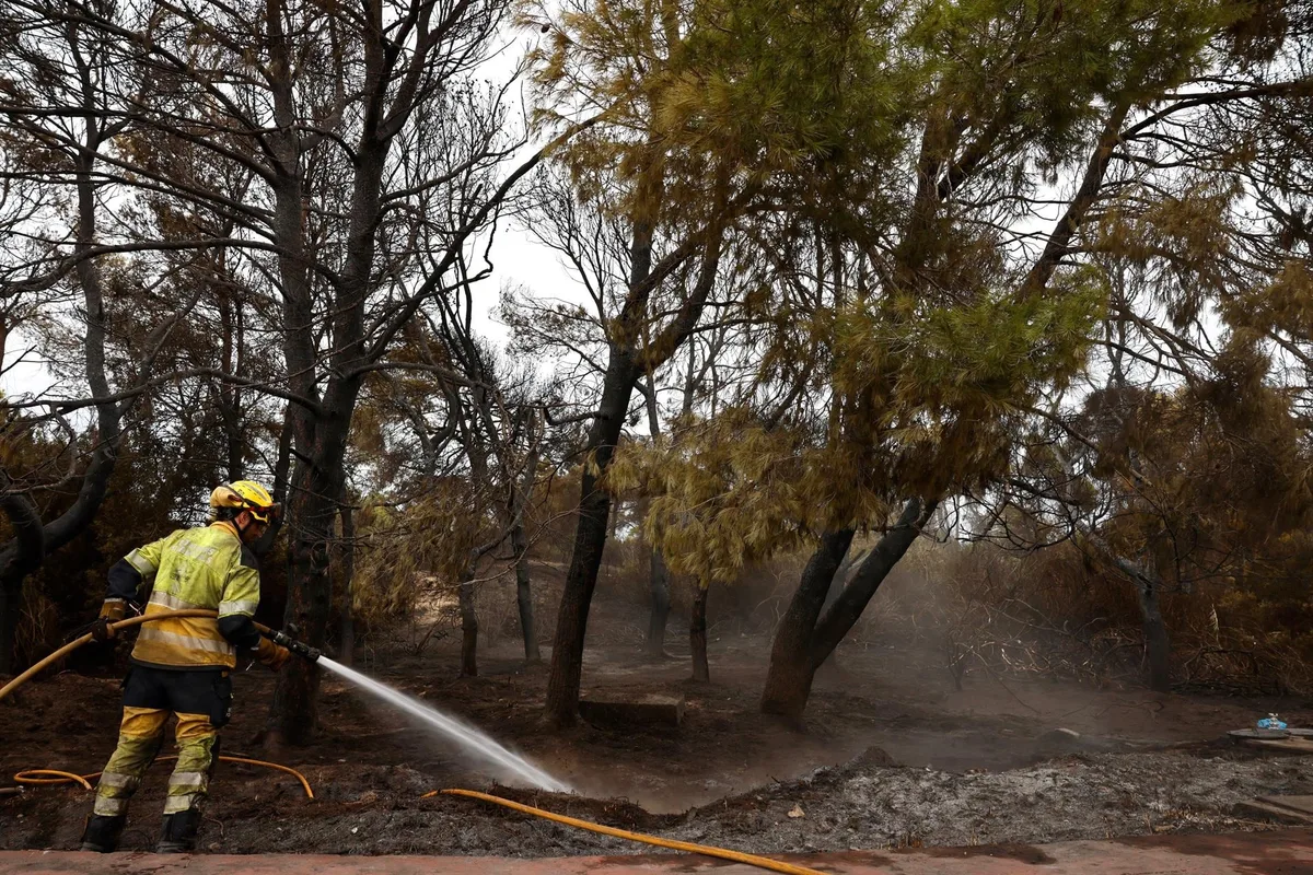 Seprona descarta causas naturales en el incendio de El Saler y apunta a un fuego intencionado