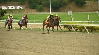 Voló en su ajuste y amenaza la fiesta de las favoritas en La Rinconada en el Clásico Edgar Gateaume (GII)