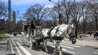Central Park: Tage der Pferdekutschen gezählt