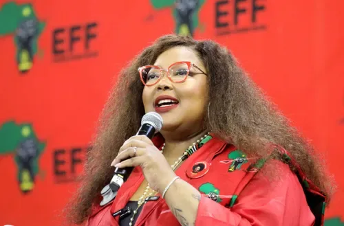 Dr Tlaleng Mofokeng vs the HPCSA: Justice Prevails as Zionist Federation fails