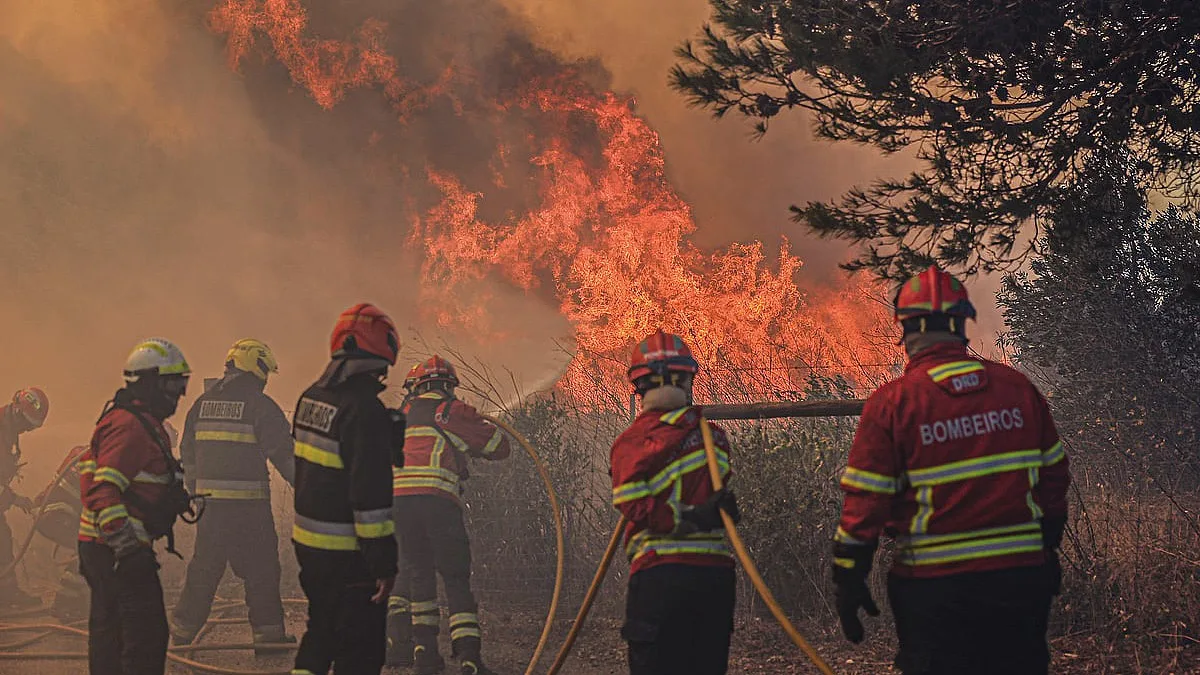 Cerca de 270 bombeiros já foram feridos no terreno desde o início do ano