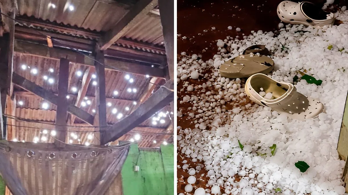 Cidade decreta situação de emergência após temporal de granizo destruir mais de 50 casas em SC; imagens mostram destruição