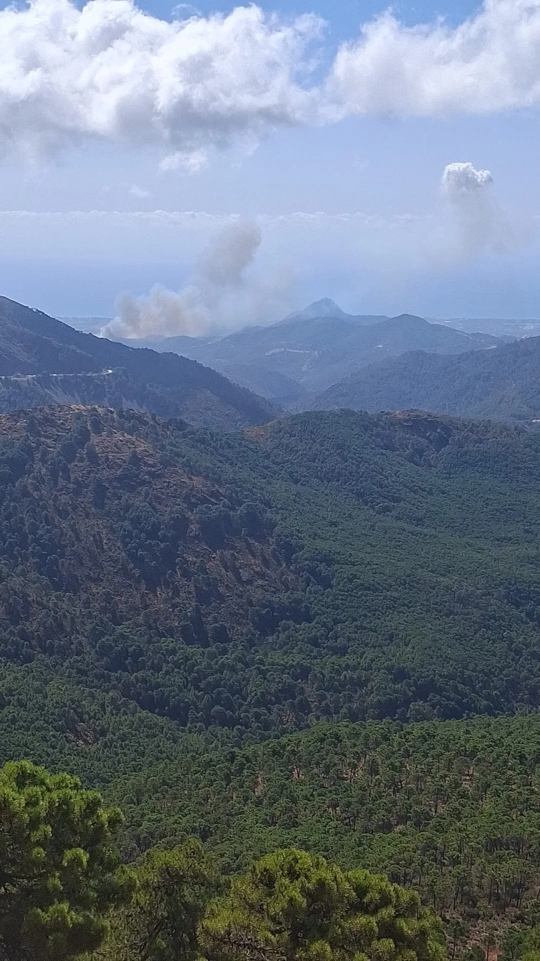 Es-Alert por el incendio de Benahavís: Desalojada una urbanización y confinados el resto de los vecinos