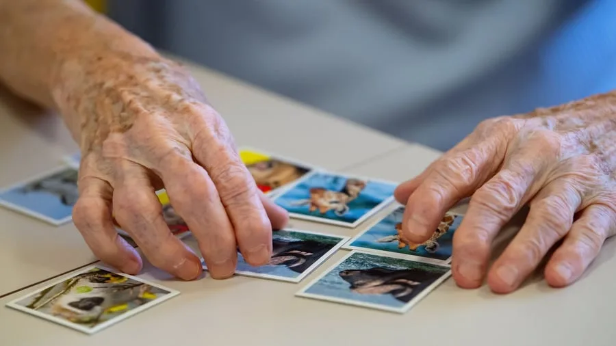 Kommunen: Städte für Pflege-Vollversicherung - mehr Sozialhilfekosten