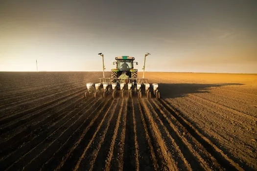 EXPLAINER | How to survive the imminent El Niño weather effects