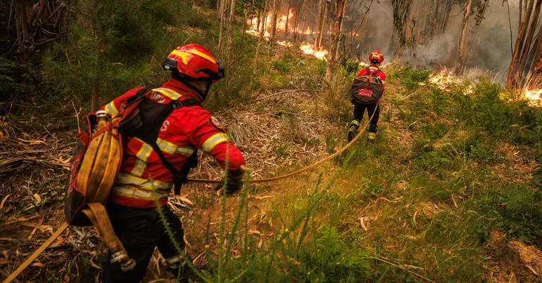 Mais de 300 bombeiros voluntários feridos este ano