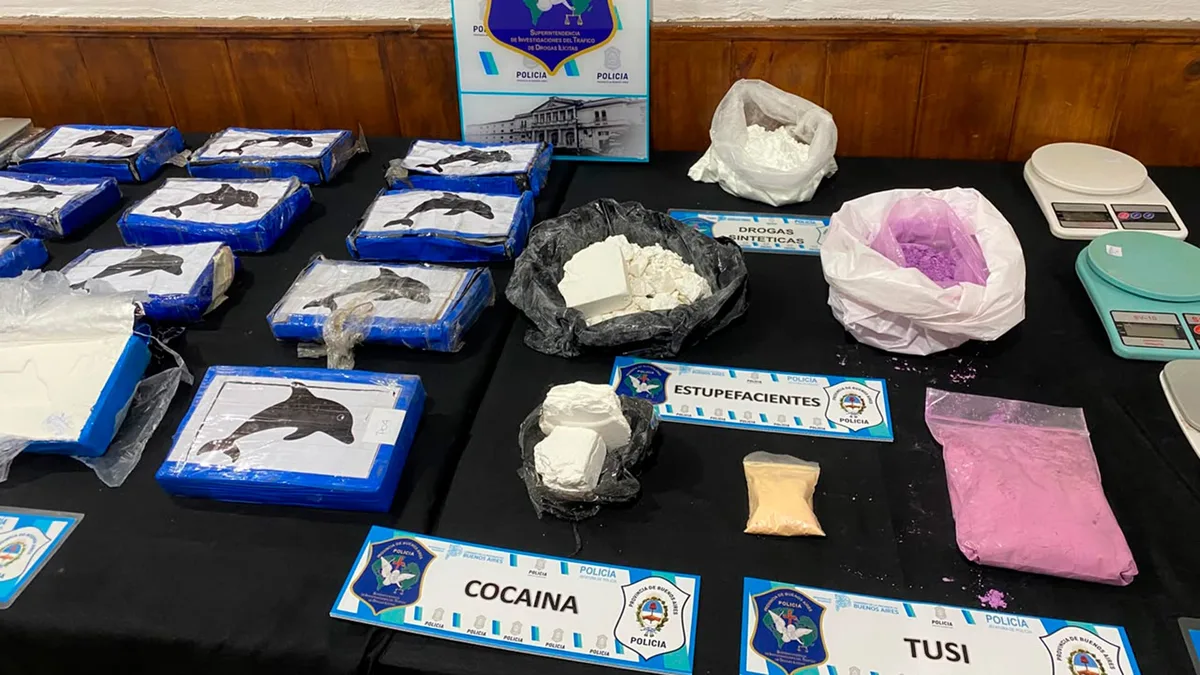 Pilotos de automovilismo y cocaína con un delfín como sello: cayó una banda narco de Mar del Plata