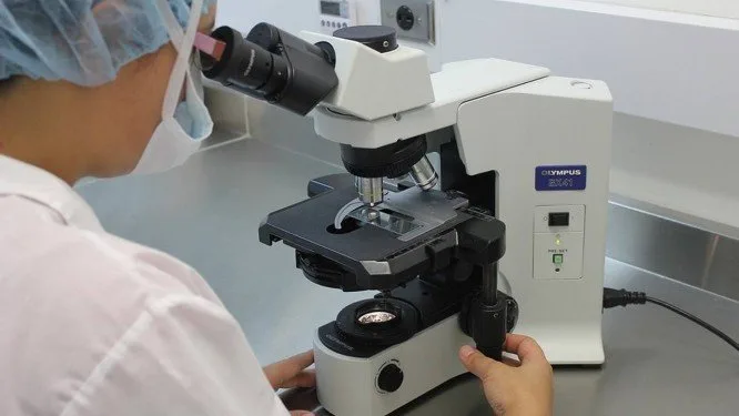 Campanha nacional convoca familiares de desaparecidos para coleta de DNA