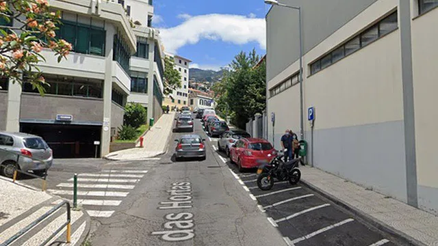 Dois gatos bebés encontrados abandonados dentro de saco de plástico no Funchal