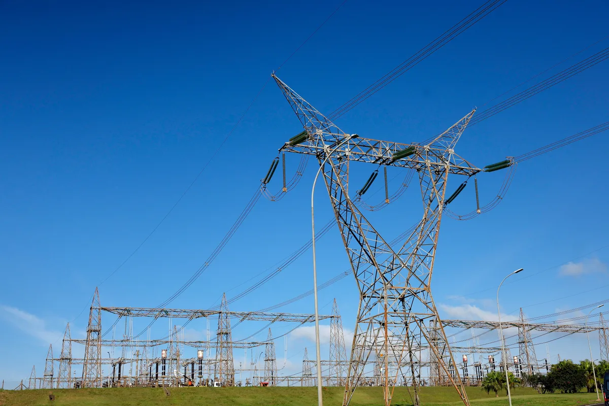 Rã ameaçada barra linha de transmissão de energia no Chile