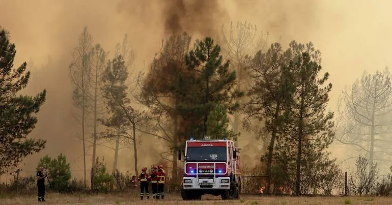 Fogo em Proença-a-Nova mobiliza 404 operacionais