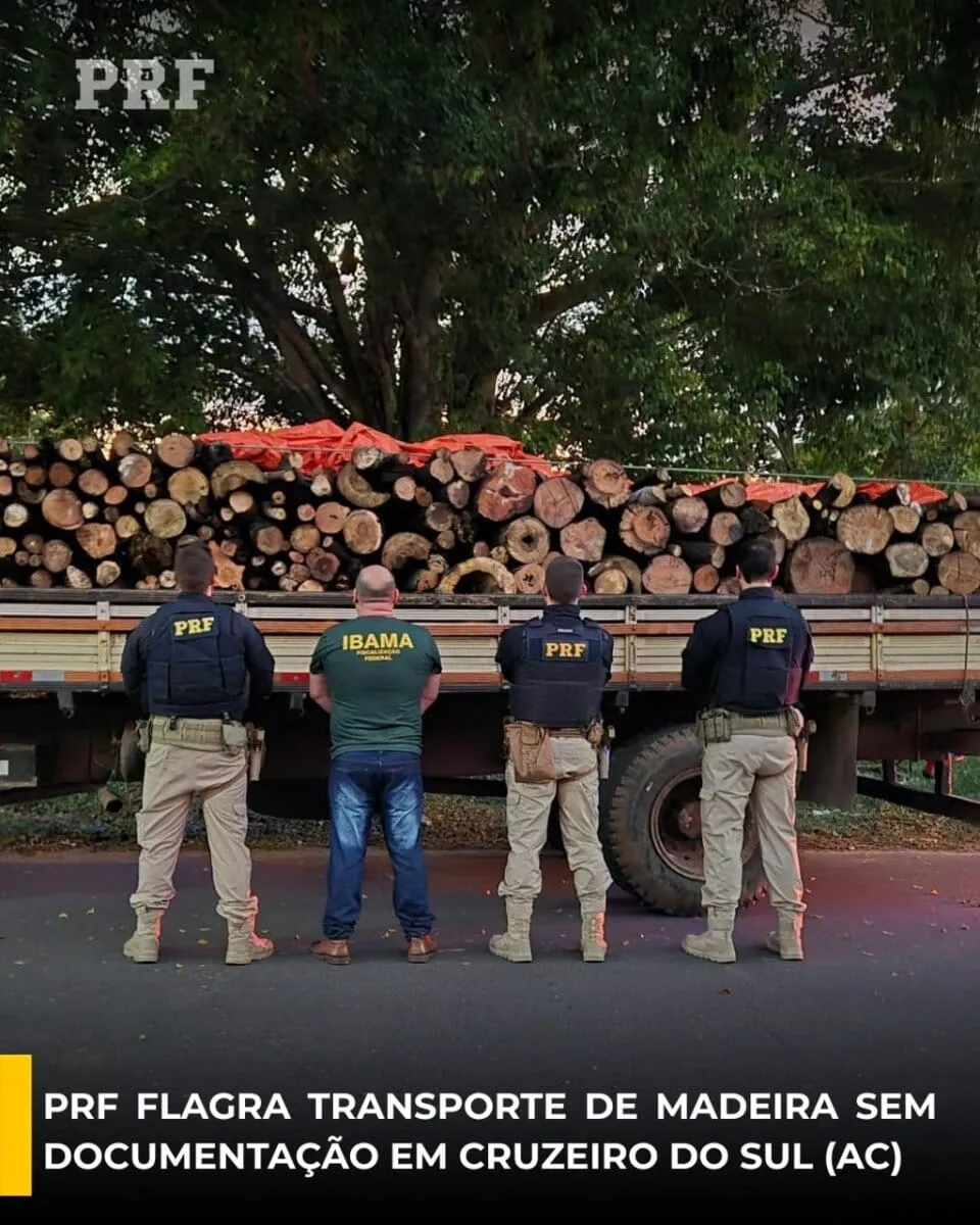 PRF flagra transporte de 11,35 m³ de madeira sem documentação no Acre