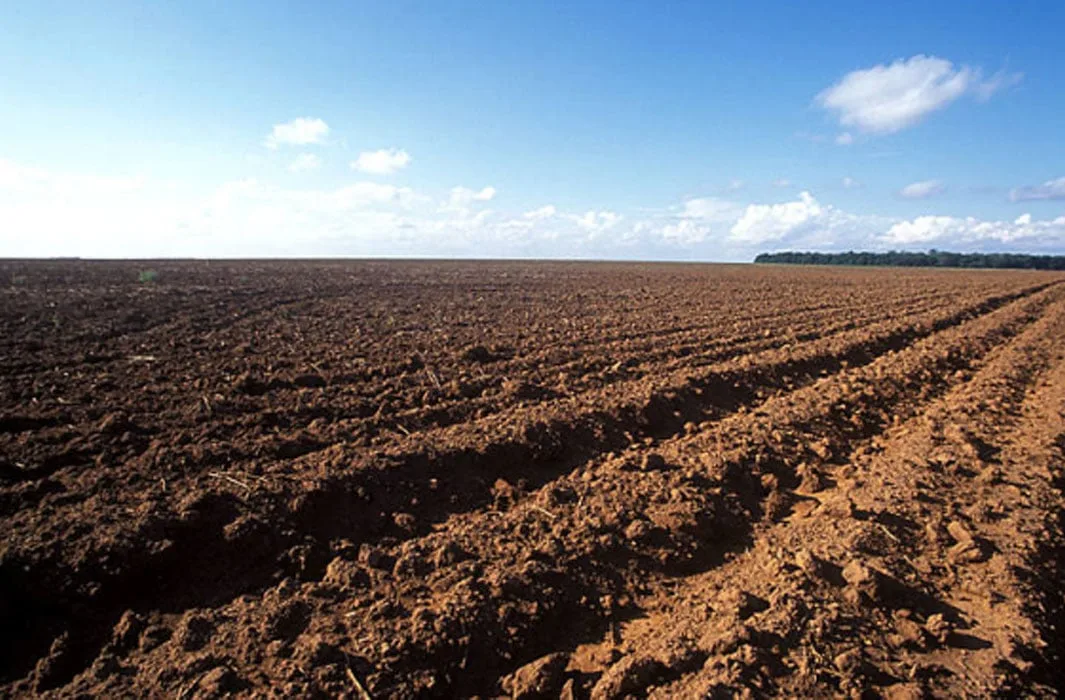 Com o fim do vazio sanitário em setembro, regiões do Brasil darão pontapé no plantio de soja