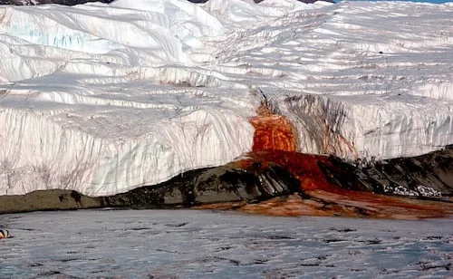 Este es el secreto de las cascadas de sangre de la Antártida
