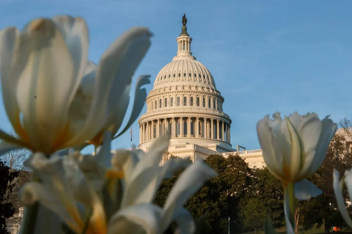 Congreso de EEUU negó que el Pentágono pueda buscar participaciones en la empresa Nabep