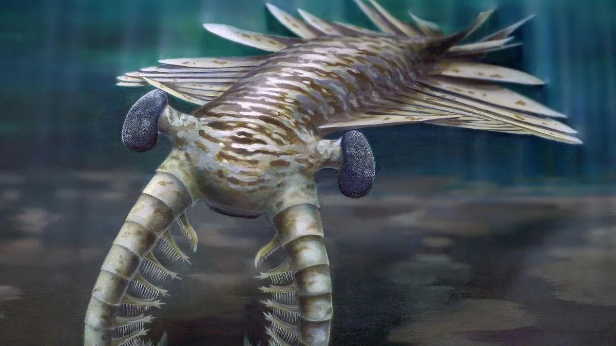 The Cambrian Period: A time when life exploded