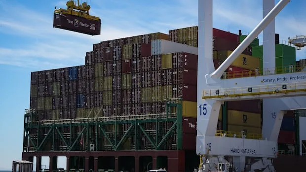 ‘Owners are afraid’: New tariffs could cut sales in half for some Canadian businesses