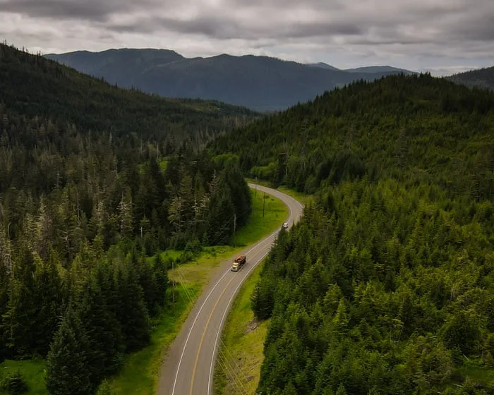 Forest Service chief faces scrutiny over logging ties as Trump plans to scrap protections