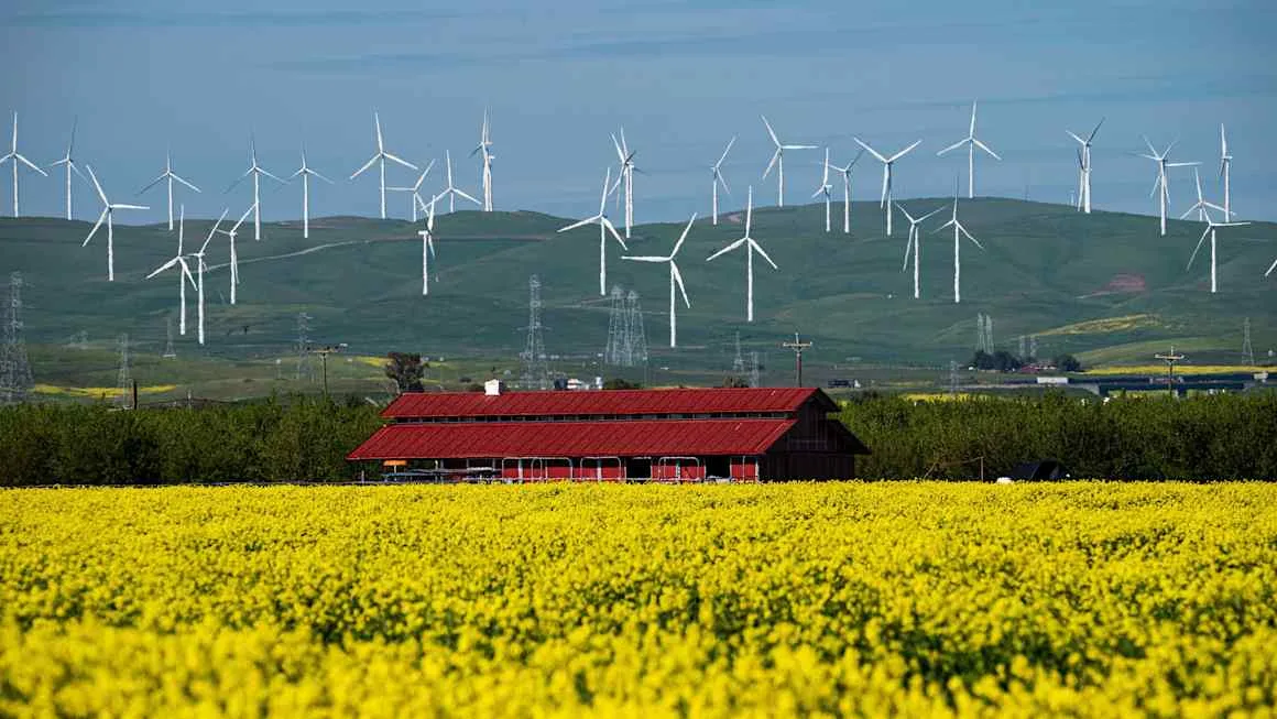 Trump’s losing battle with green energy