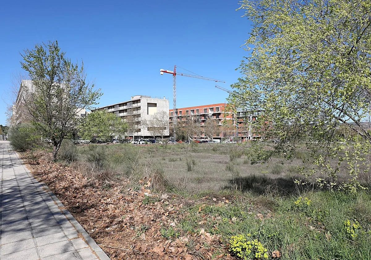 Las obras del parking gratuito de 500 plazas junto al Hospital de Toledo comienzan la próxima semana