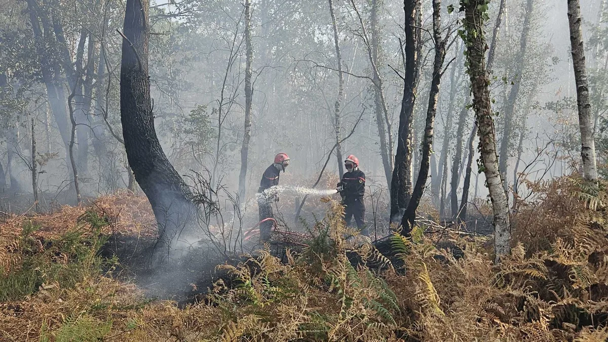 Incendies : le feu dans les Landes « moins intense », premiers retours d’évacués