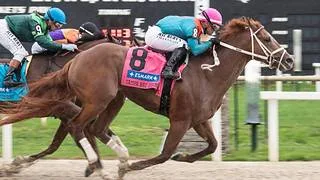 Confirmado: The Puma correrá la Breeders’ Cup Classic (G1)