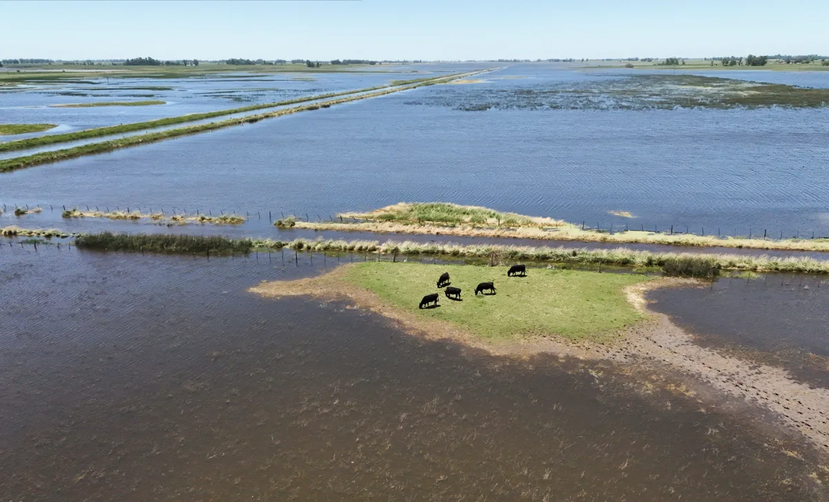 Súper Niño: proponen usar fondos viales rurales para atender obras hídricas ante el riesgo de inundaciones y crecidas