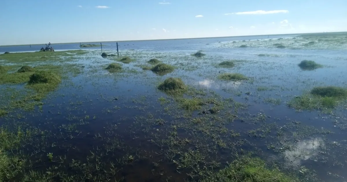 Humedales temporales: los agricultores estadounidenses están inundando intencionadamente sus campos para revivir antiguas "depresiones de la pradera"