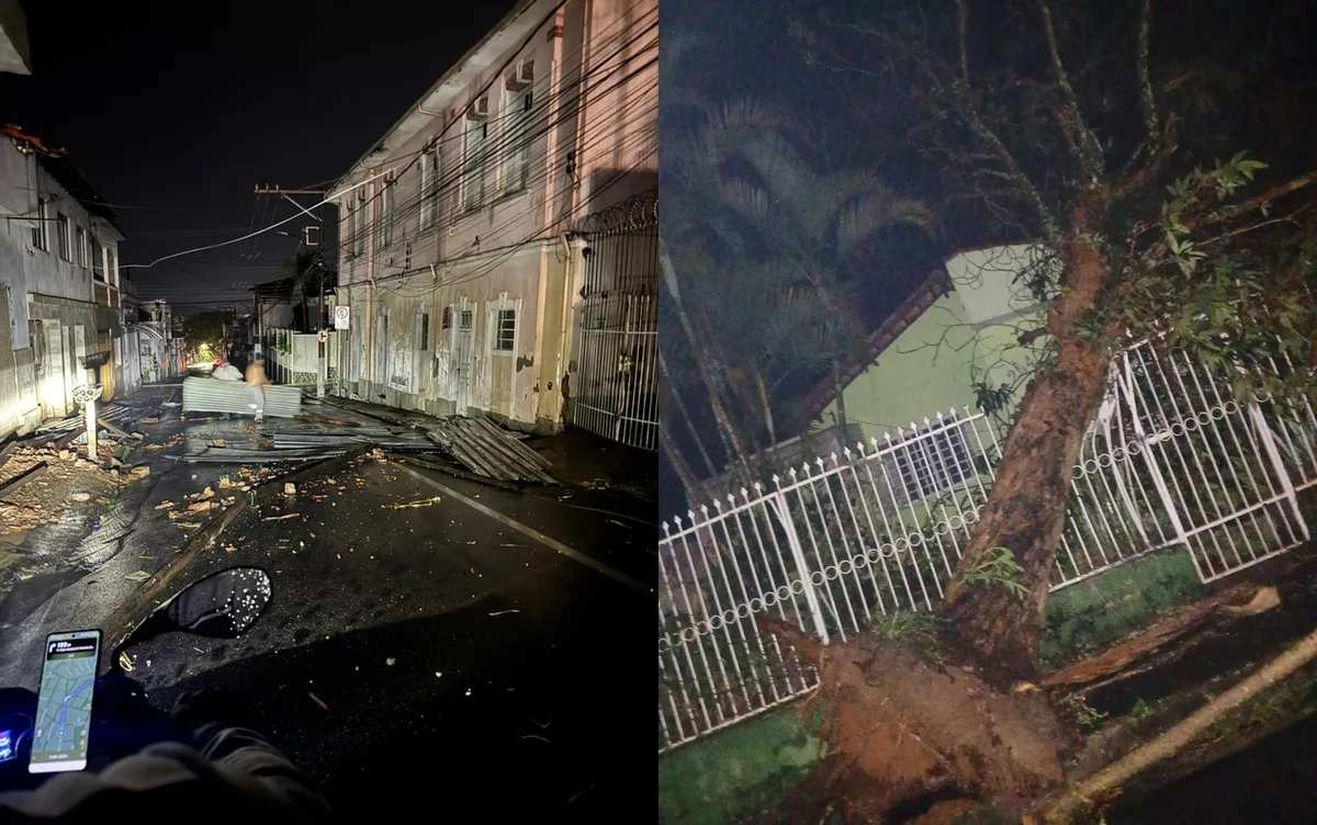 VÍDEO: Temporal com ventos fortes derruba árvores, bloqueia vias e deixa moradores sem energia em MG