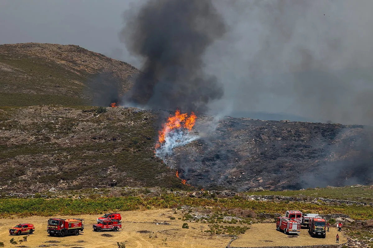 Quatro bombeiros feridos em despiste de veículo perto do incêndio de Arouca