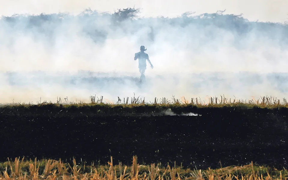 Financiamento, proteção da natureza e balanços na COP17 da biodiversidade