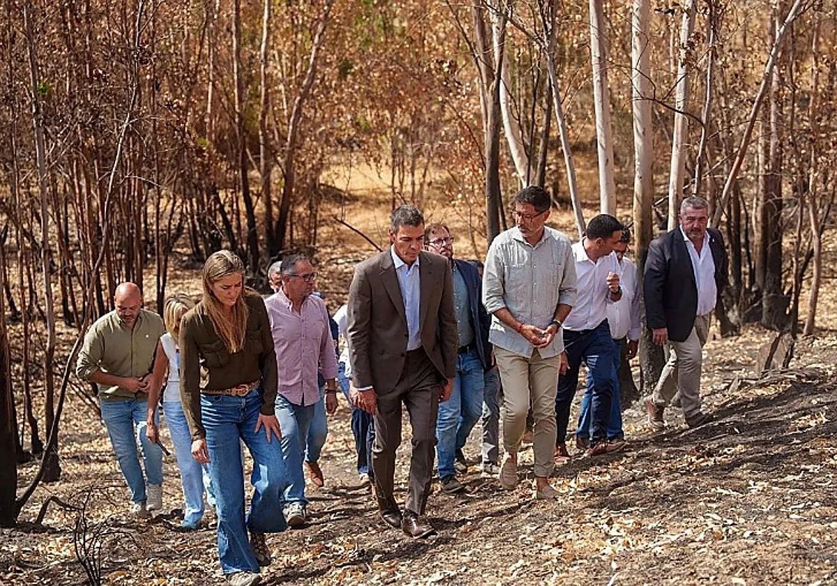 Sánchez visita la zona arrasada por el incendio de Niebla casi un mes y medio después y apela a «actuar sobre las causas»