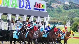 Debuta medio hermana de caballo ganador de una gema de la triple corona