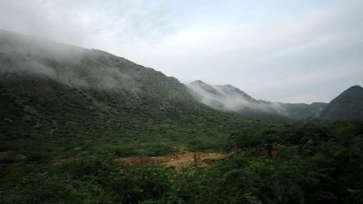 Environmentalists write to Supreme Court committee about ‘inadequate’ public consultation on Aravallis