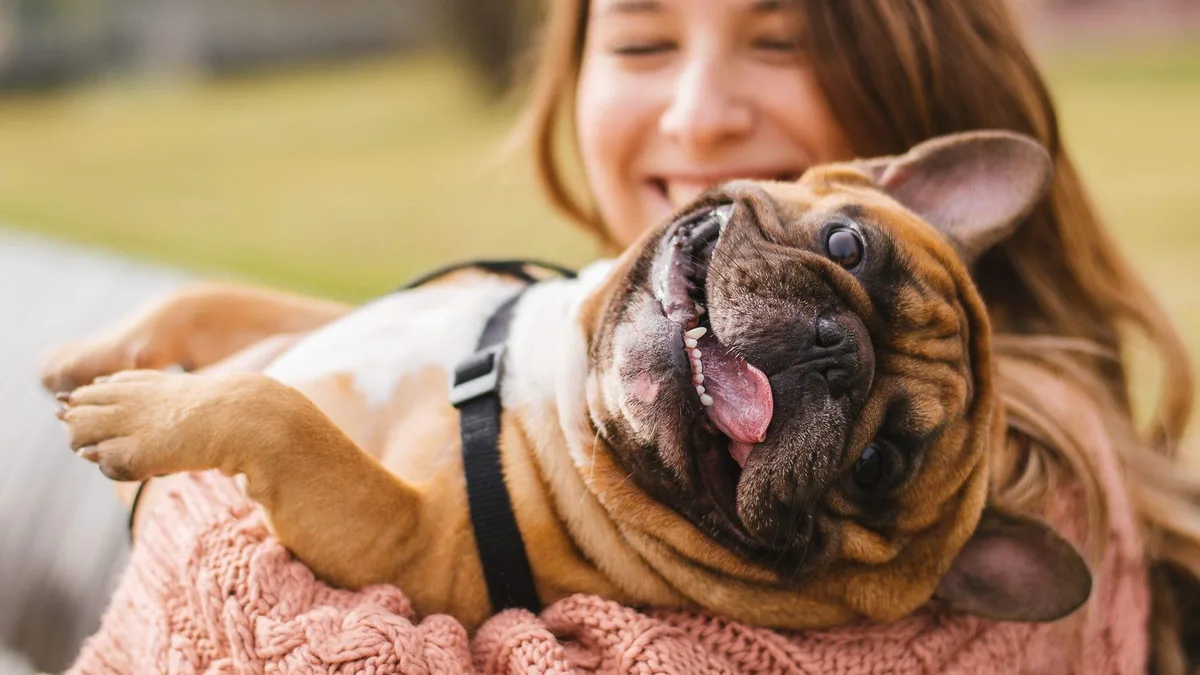 Los psicólogos coinciden: tratar a tu perro como tu hijo es normal mientras tengas amistades sanas con otros humanos