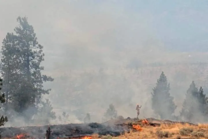 Suspicious fire on Knox Mountain after witness snaps photo of shirtless man among flames