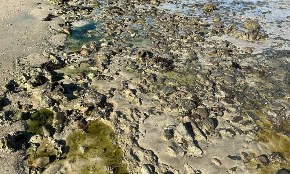 Prefeitura de Salvador prorroga situação de emergência da praia de São Tome de Paripe; área está contaminada há seis meses