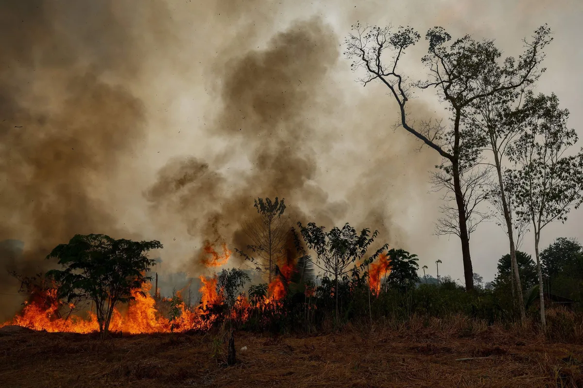 Ministro do Meio Ambiente aponta incêndio criminoso no Amazônas