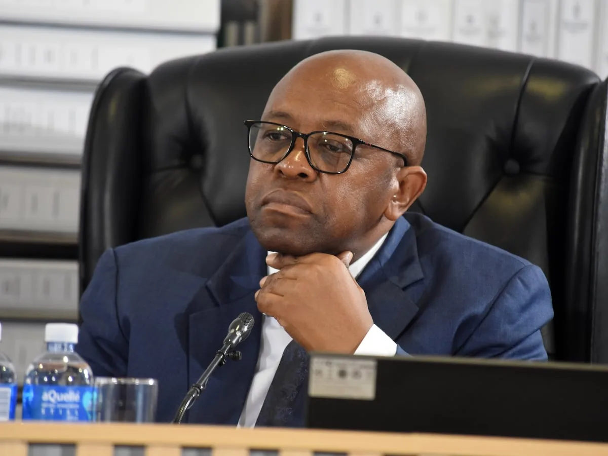EDITORIAL | For all the rot, the Madlanga commission has also shown the best of us