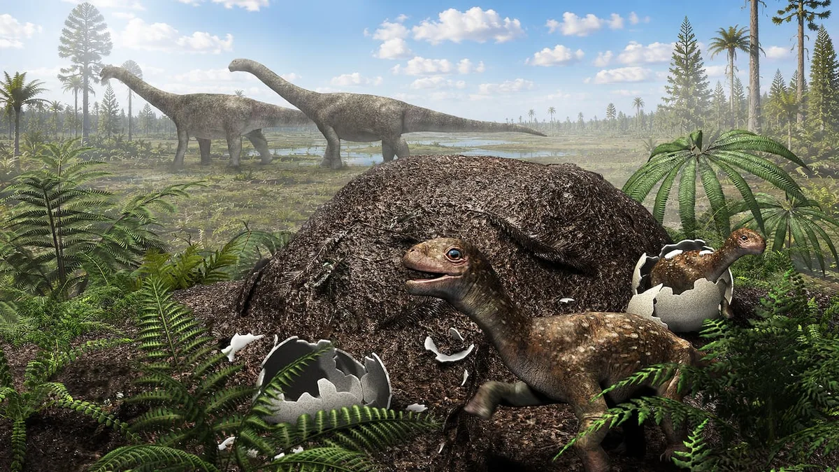 The biggest dinosaurs couldn't sit on their eggs. Scientists say they did this instead
