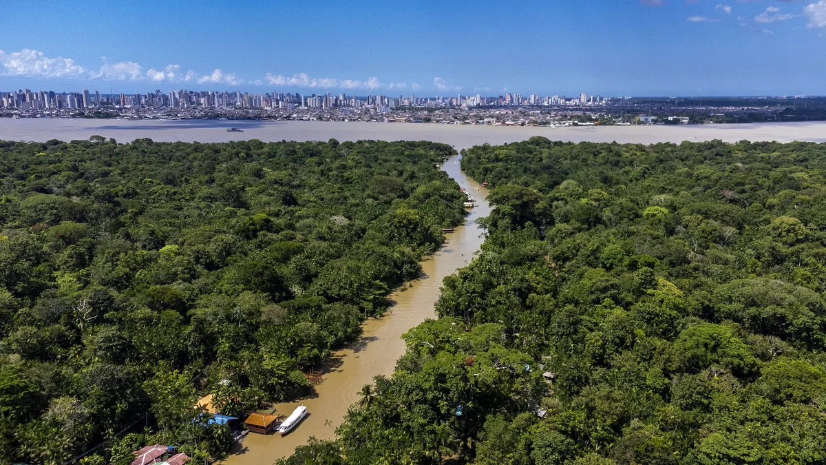 Devida diligência climática: a nova fronteira da responsabilidade empresarial