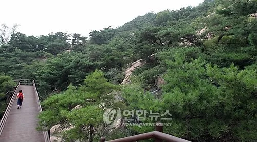 최휘영 장관, '프랑스 24만 도보여행' 랑도네협회와 북한산행