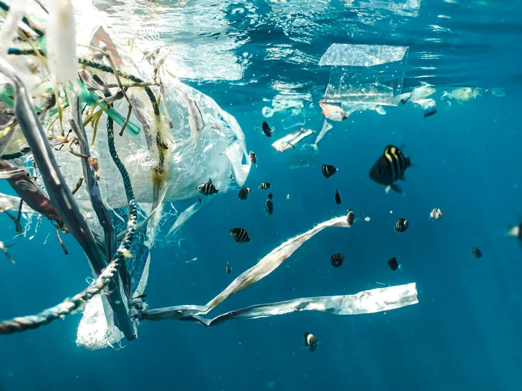 Creíamos que bolsas y pajitas eran el culpable de la contaminación oceánica. Pero lo que llena el gran vertedero del Pacífico es muy diferente