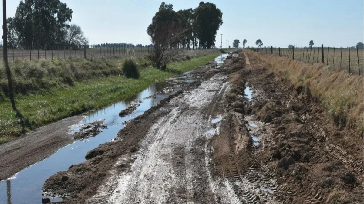 Encuesta en el campo: casi un 80% de los productores afirman que los caminos se encuentran en mal estado