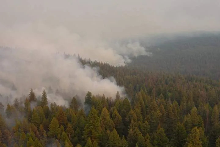 Activity picks up on the Bald Range wildfire near Summerland, Peachland
