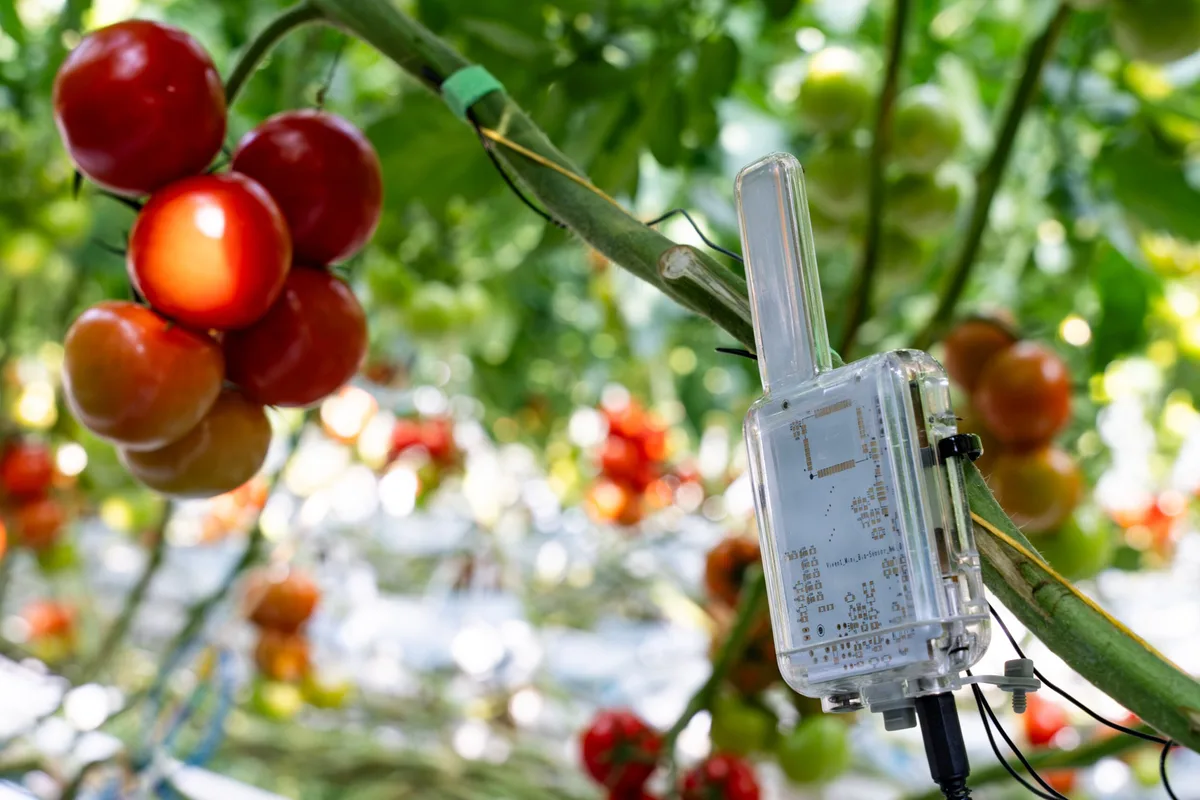 Una agtech suiza trae sensores con IA que son furor en Europa: le ahorran fortunas al campo