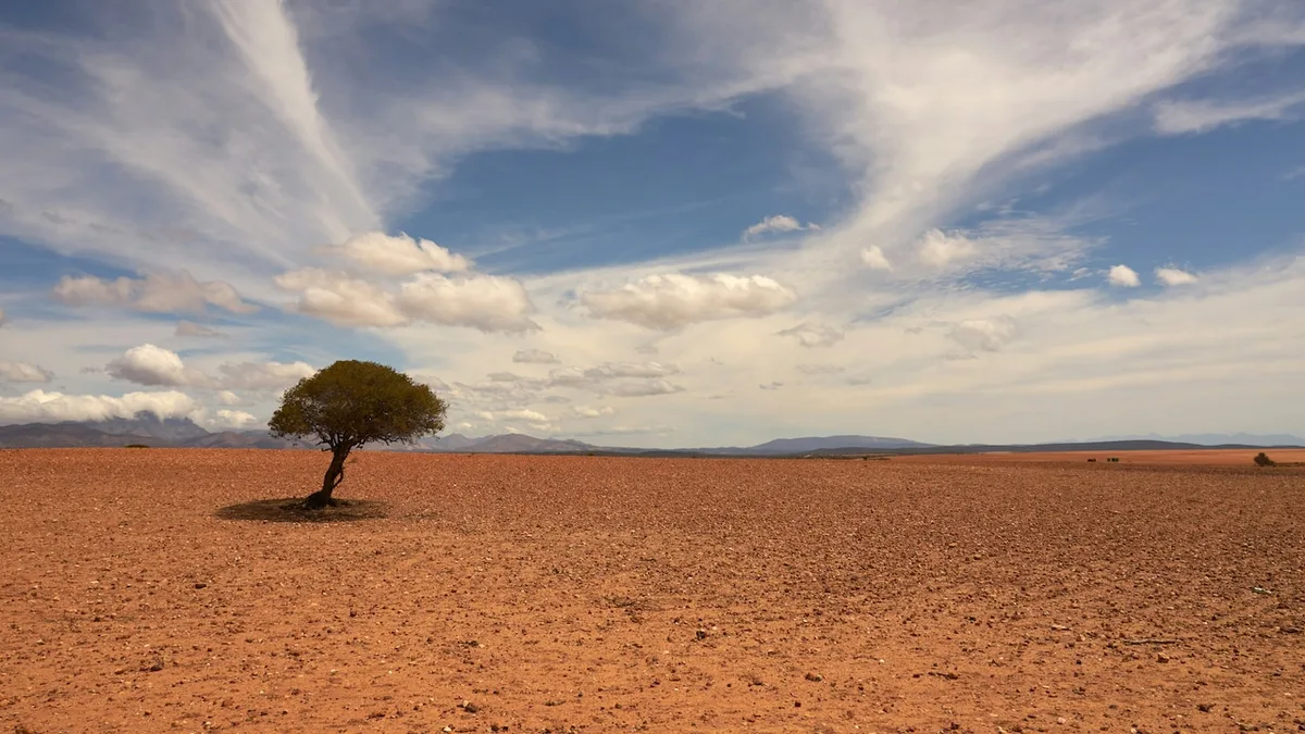 'Floods, Extreme Heat Risk': US Warns Of 'Very Strong' El Nino Till February