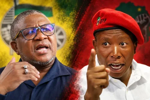 AfriForum targets Mbalula, Malema in prosecution over Bergview rape claims